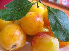 Streusel aux mirabelles d'Alsace