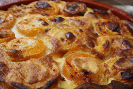 Clafoutis Abricots - Spéculos