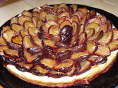 Gâteau brioché aux quetsches
