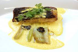 Tronçon de turbot et endives confites, sauce hollandaise au curry