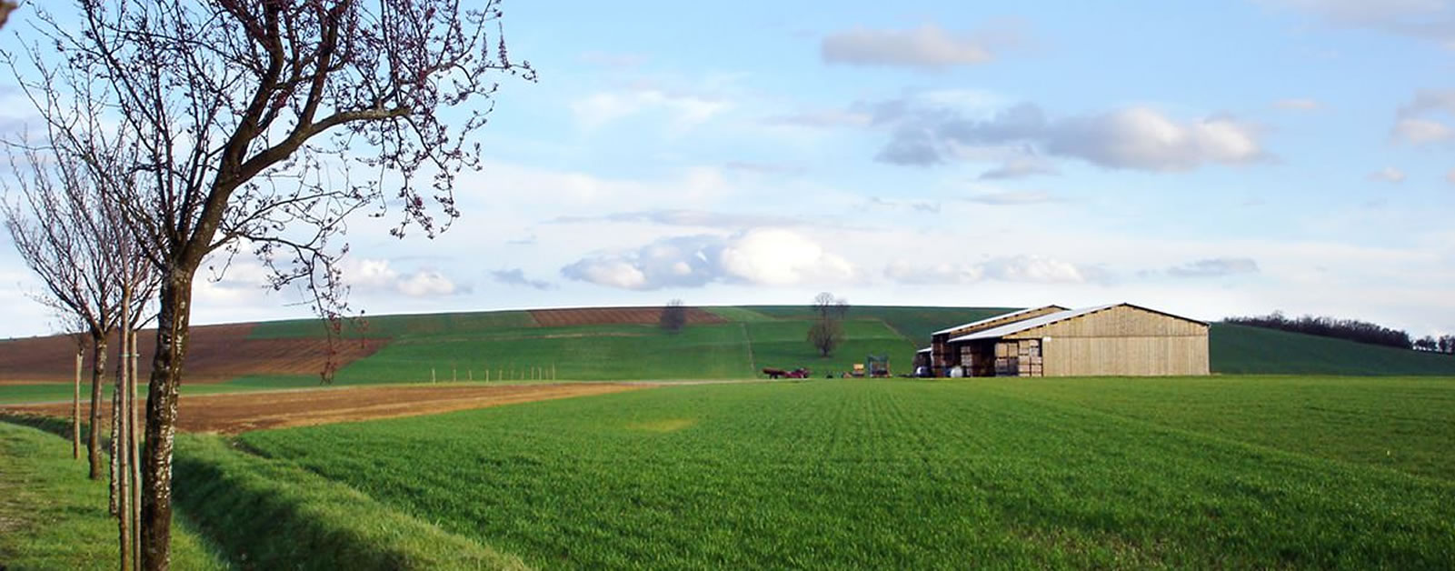 Le potager de Camille