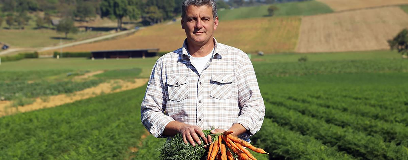 Le potager de Camille