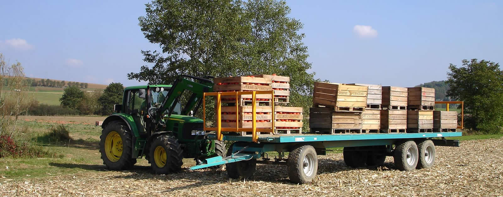 Le potager de Camille